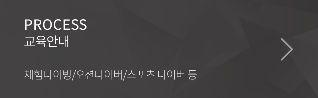 모아다이버스  교육안내