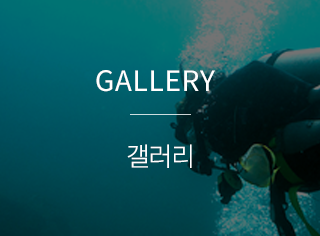 모아다이버스  갤러리